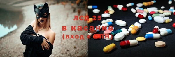 ПСИЛОЦИБИНОВЫЕ ГРИБЫ Богданович