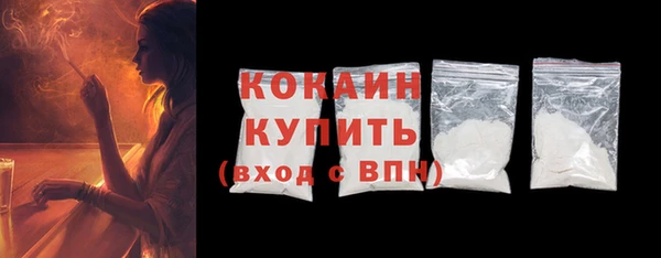 ПСИЛОЦИБИНОВЫЕ ГРИБЫ Богданович
