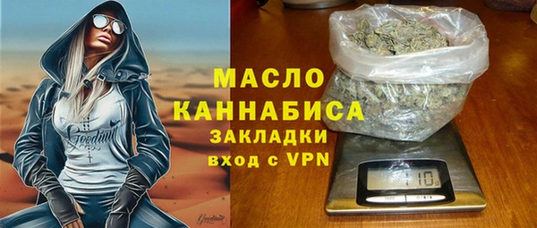 хмурый Дмитровск