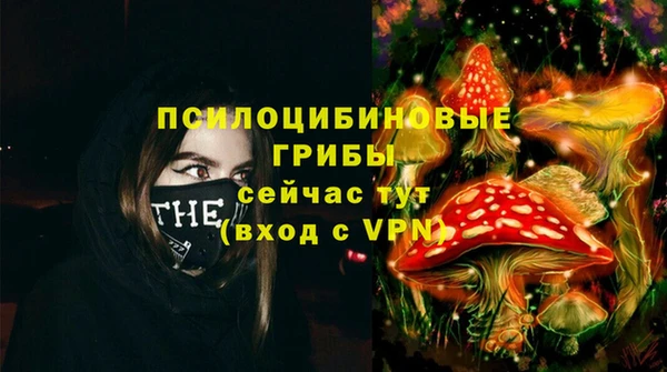 прущая мука Богородицк