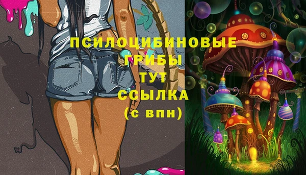 ПСИЛОЦИБИНОВЫЕ ГРИБЫ Богданович
