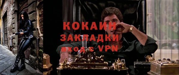 ПСИЛОЦИБИНОВЫЕ ГРИБЫ Богданович