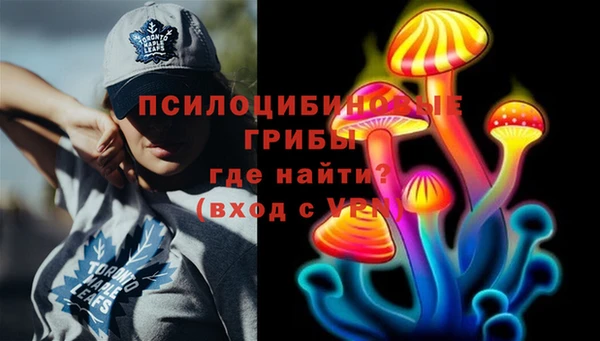 прущая мука Богородицк