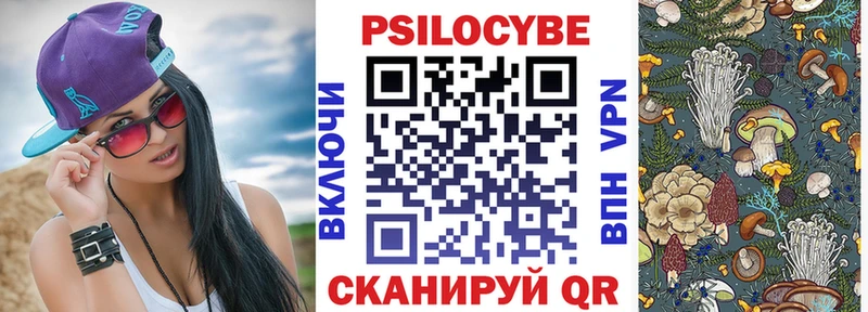 Псилоцибиновые грибы Psilocybe  Ува 